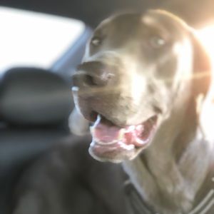 Meet your Posher, Jordan